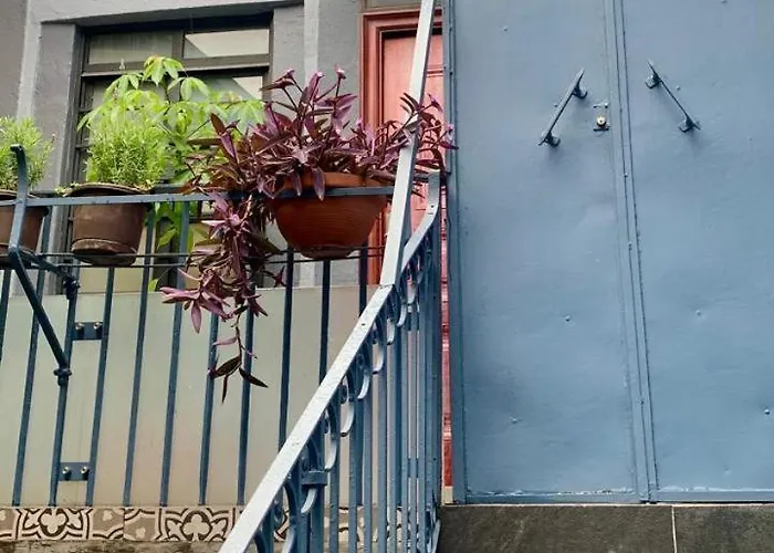 Latidos Del Centro De Cdmx Homestay Mexico City