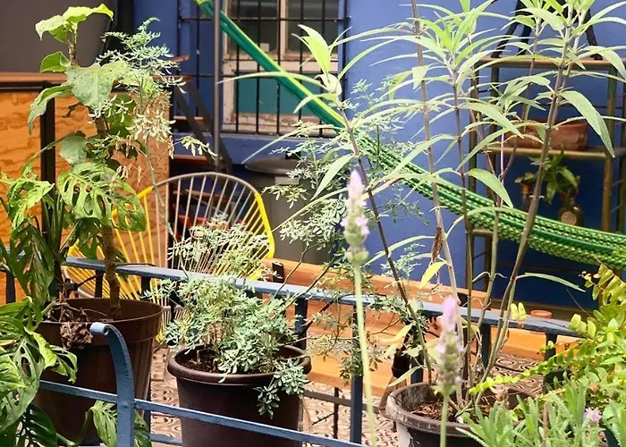 Latidos Del Centro De Cdmx Homestay Mexico City