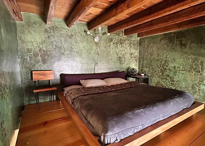 Latidos Del Centro De Cdmx Homestay