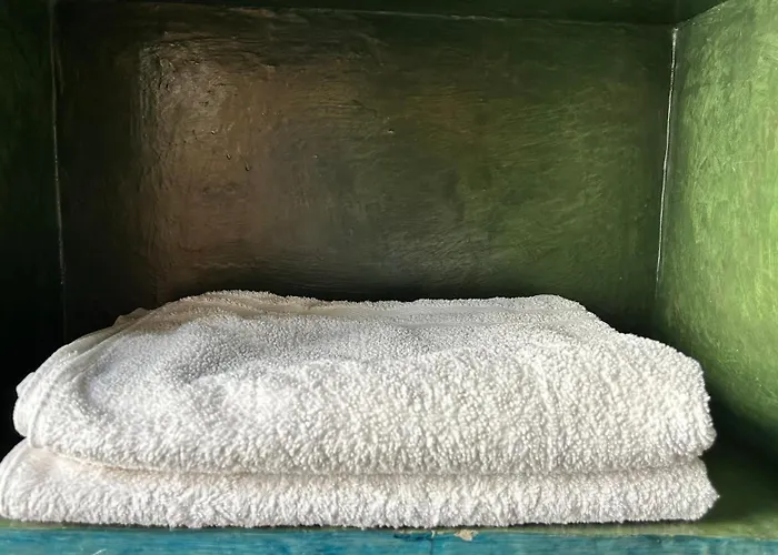 Latidos Del Centro De Cdmx Homestay Mexico City